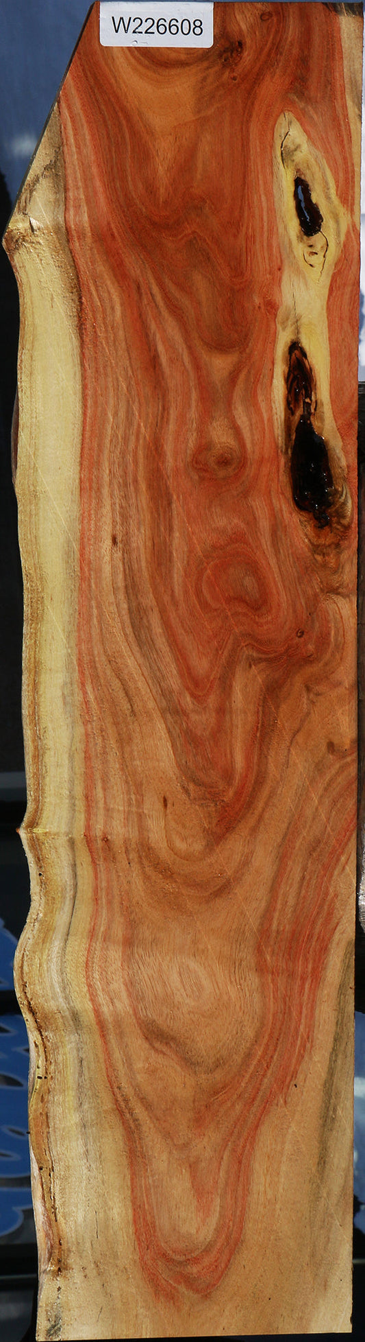 Carob Live Edge Lumber