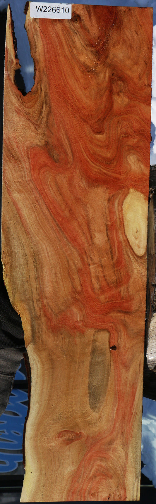 Extra Fancy Carob Live Edge Lumber