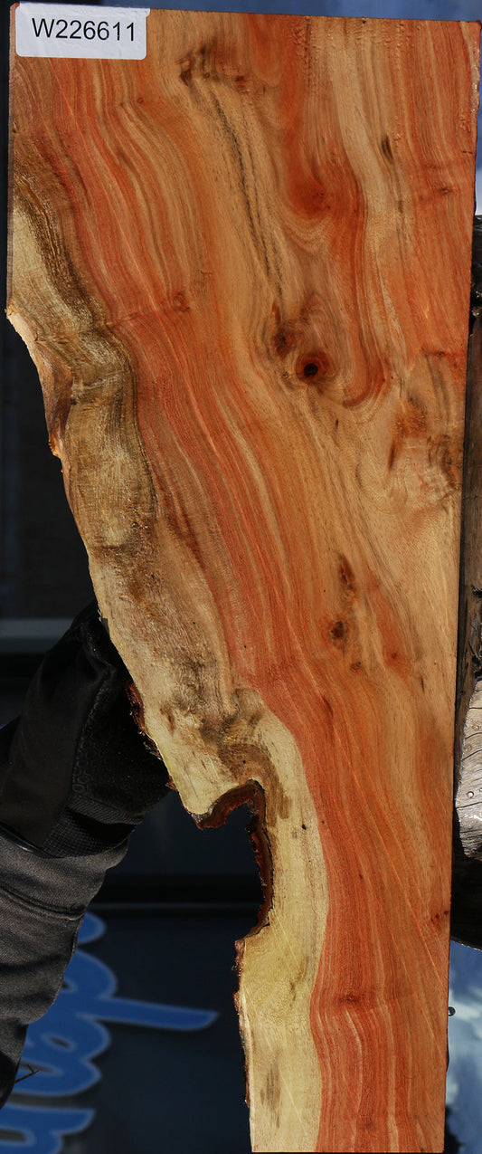 Carob Live Edge Lumber