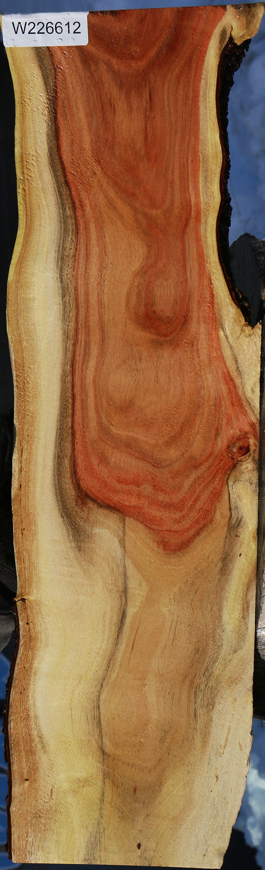 Carob Live Edge Lumber