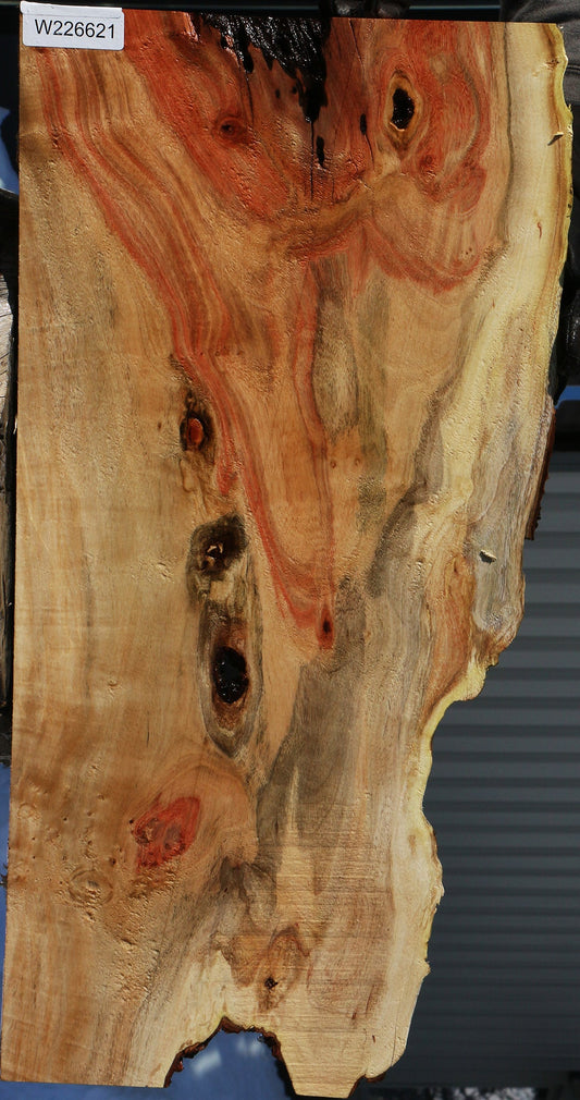 Carob Live Edge Lumber