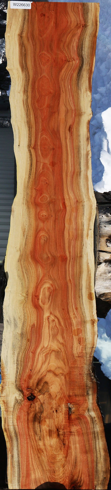 Carob Live Edge Lumber