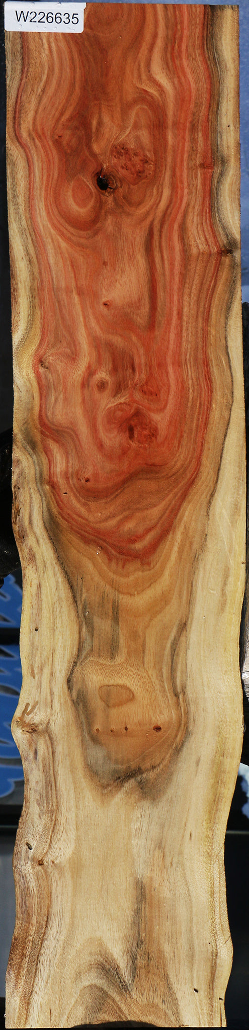 Carob Live Edge Micro Lumber