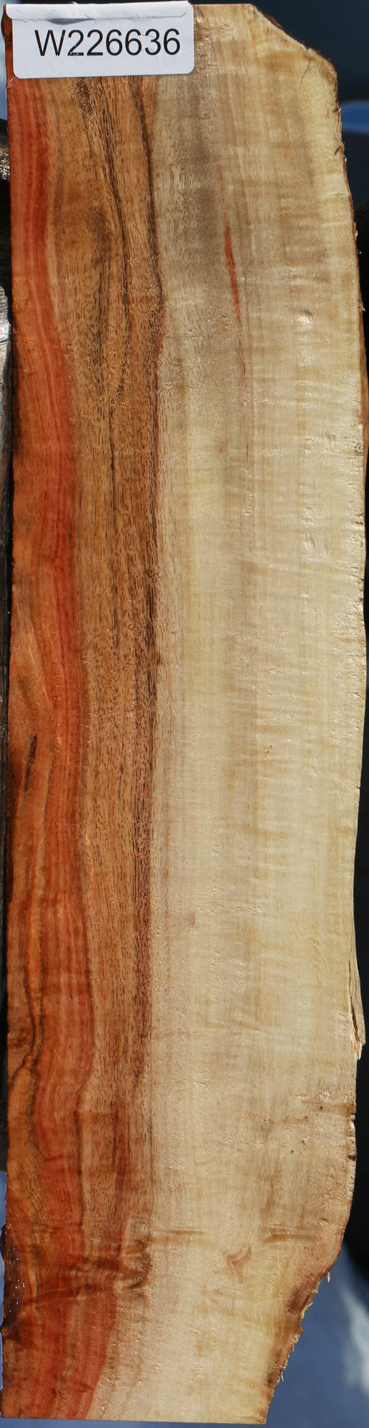 Extra Fancy Carob Live Edge Lumber