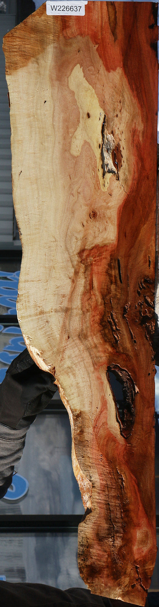 Rustic Carob Live Edge Lumber