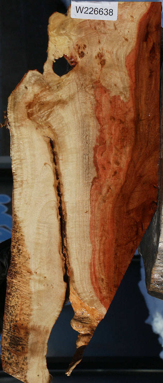 Carob Live Edge Lumber