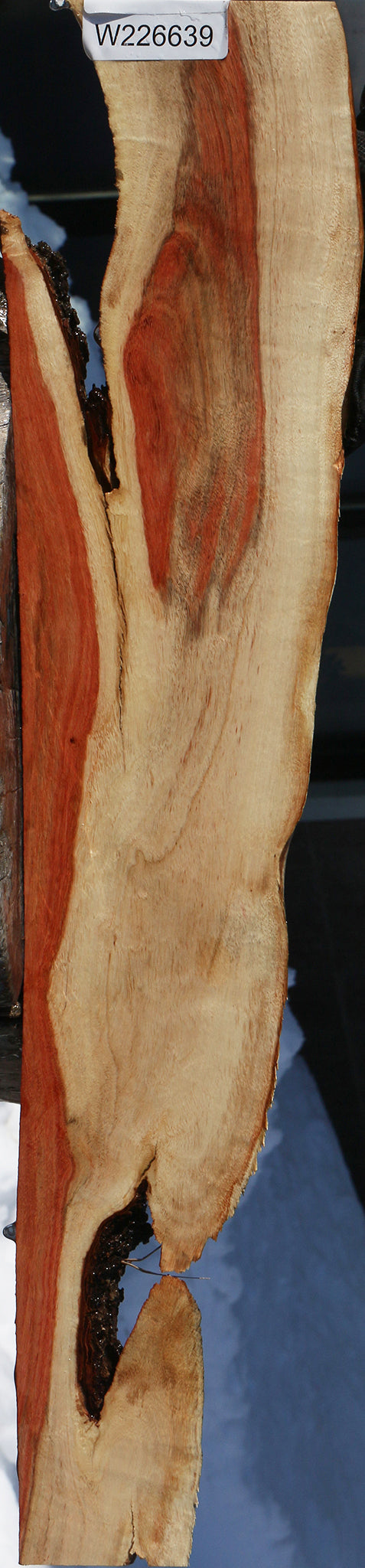 Carob Live Edge Lumber