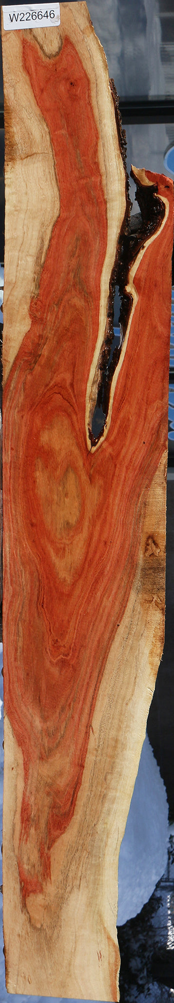 Carob Live Edge Lumber