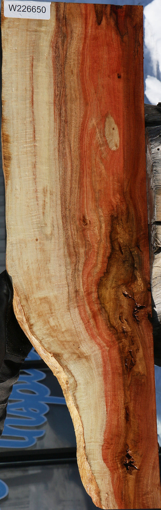 Extra Fancy Carob Live Edge Lumber