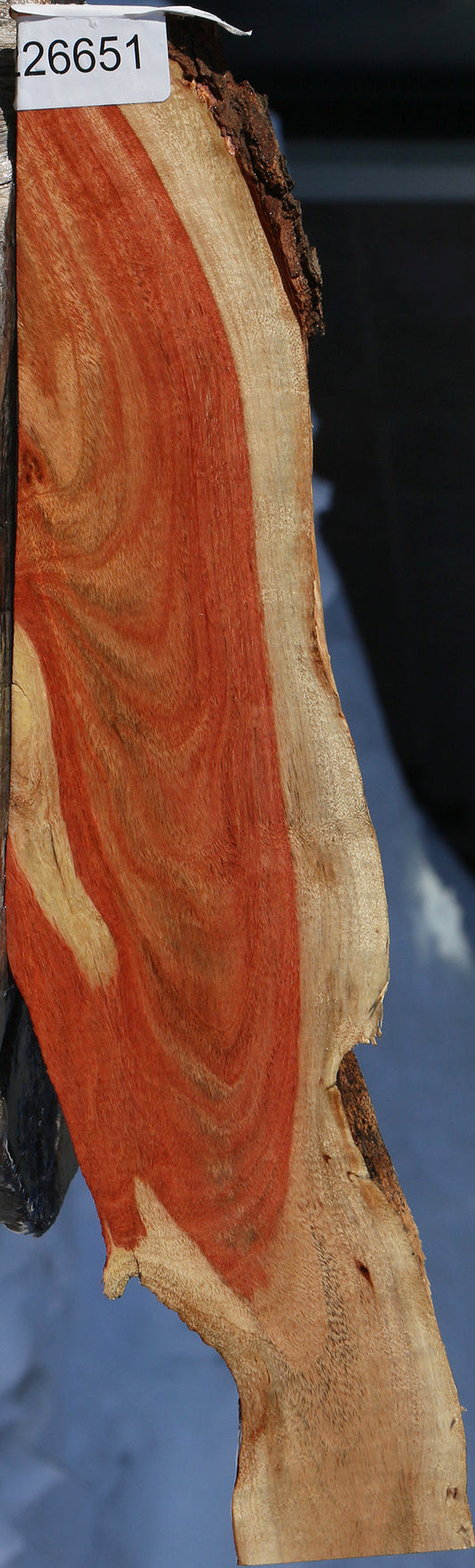 Carob Live Edge Lumber