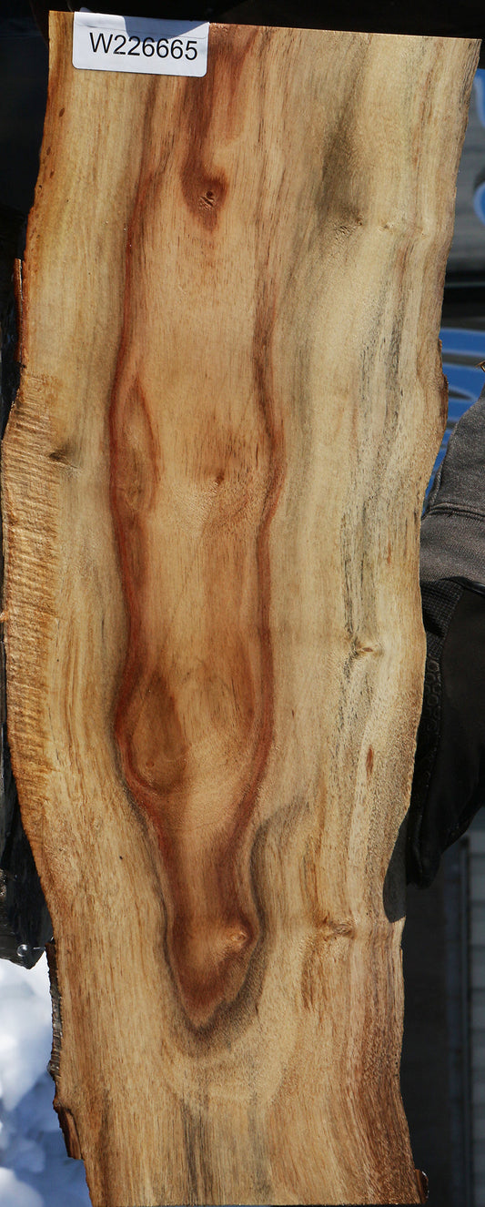 Carob Live Edge Lumber