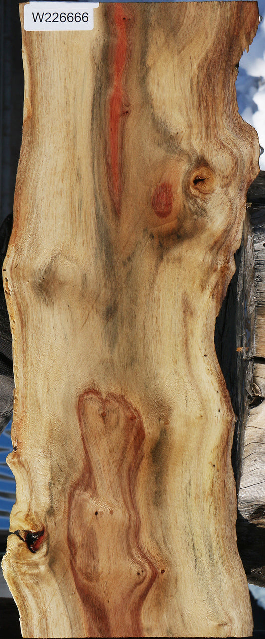Carob Live Edge Lumber