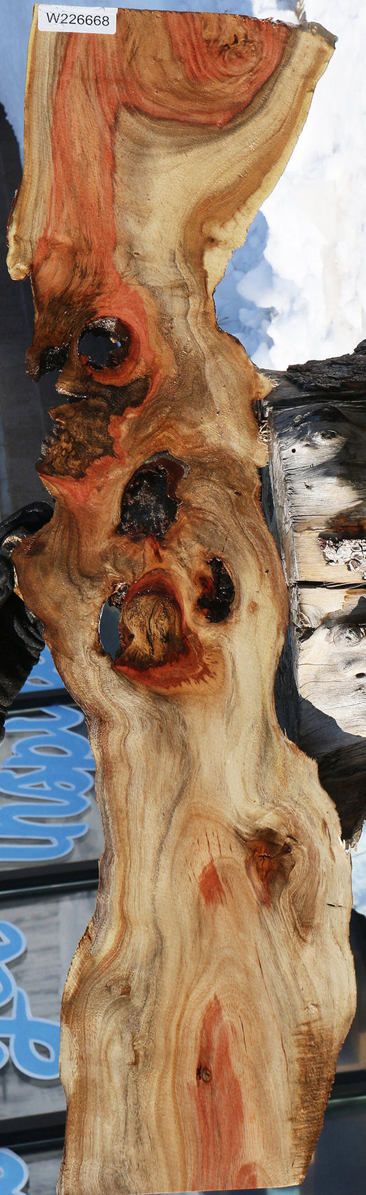 Rustic Carob Live Edge Lumber