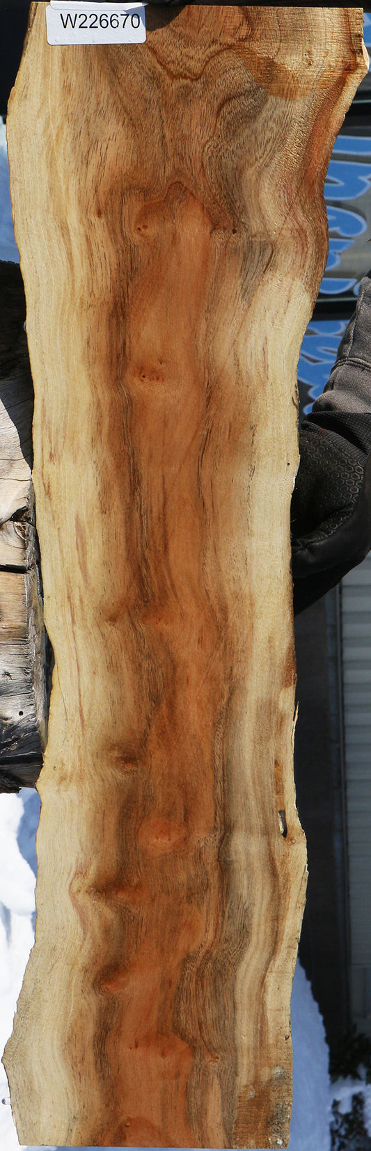 Carob Live Edge Lumber