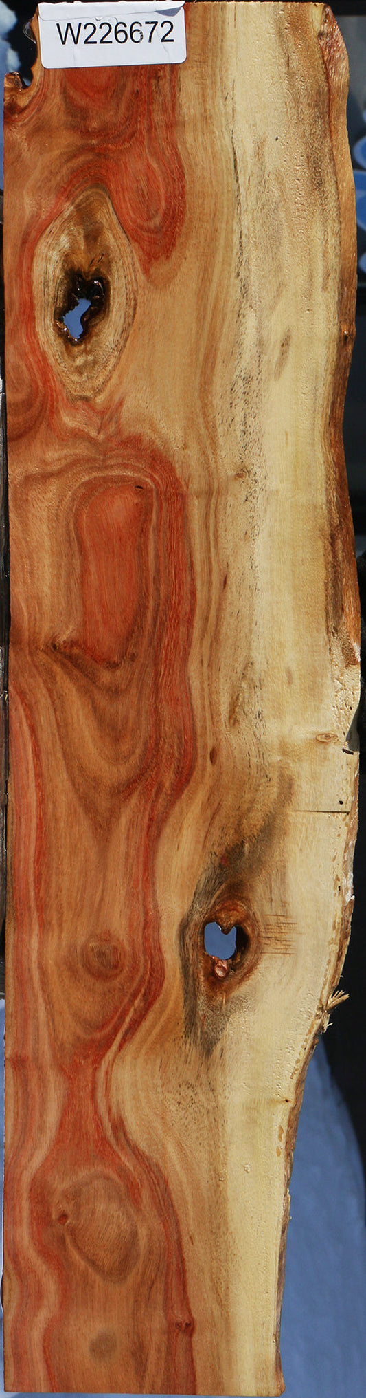 Carob Live Edge Micro Lumber