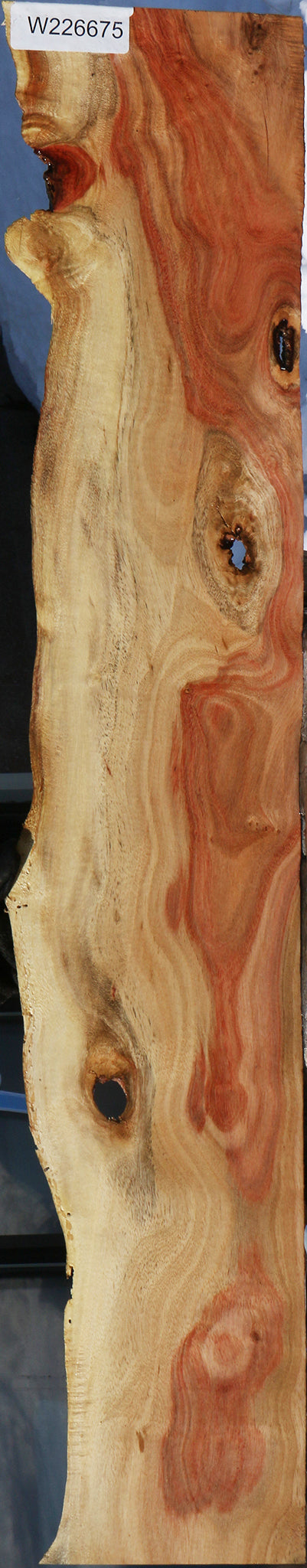 Carob Live Edge Micro Lumber