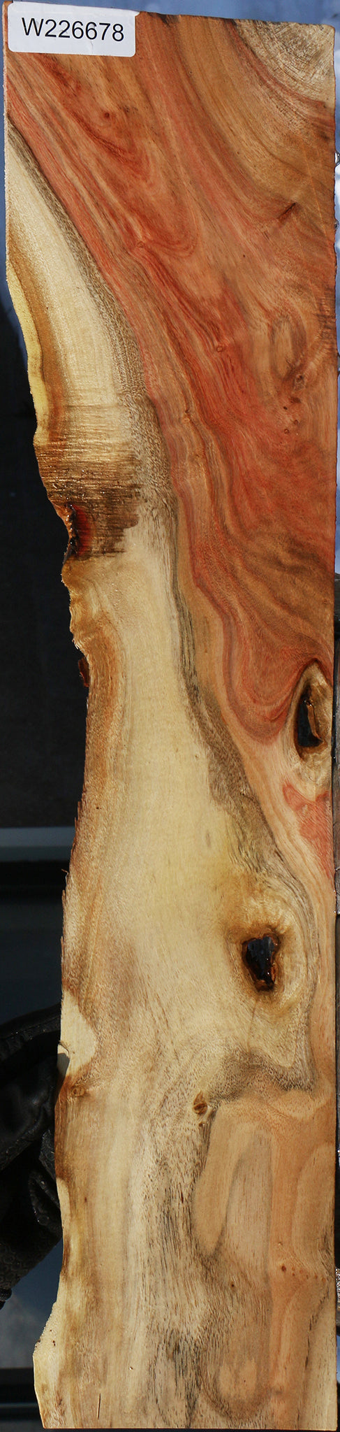 Carob Live Edge Micro Lumber