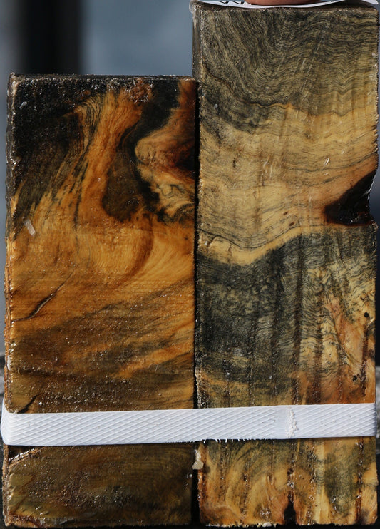 Buckeye Burl Lumber 2 Pack