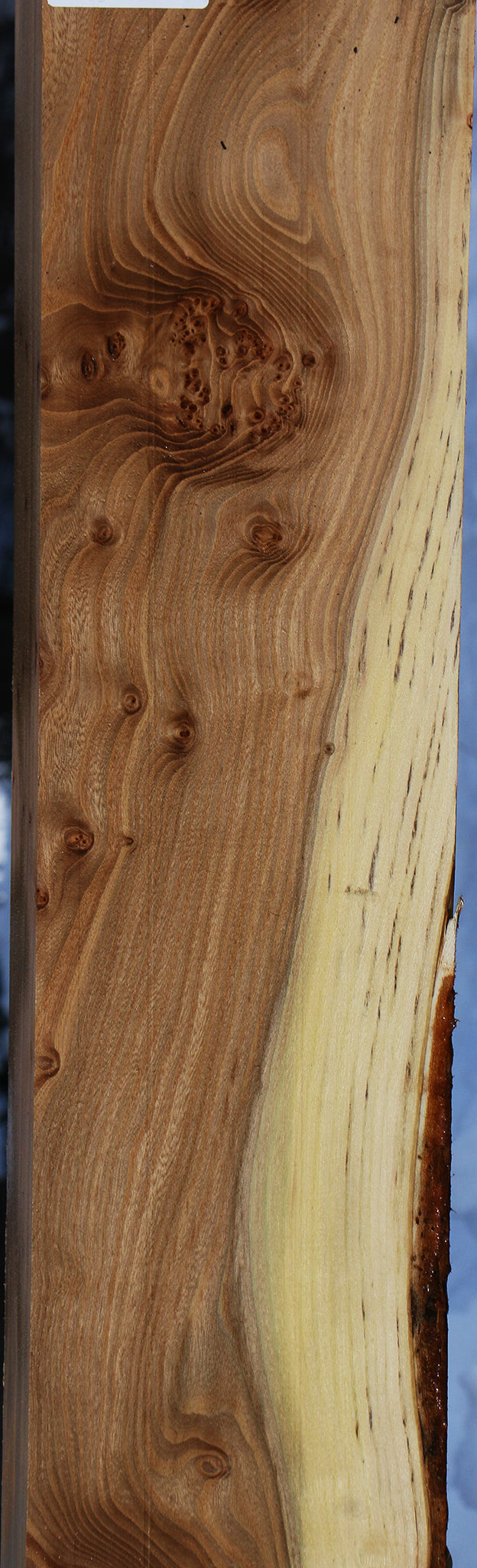 Elm Mantel