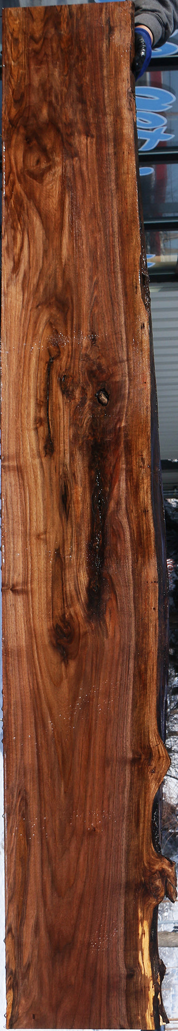 Claro Walnut Live Edge Slab (Free Shipping Excluded)