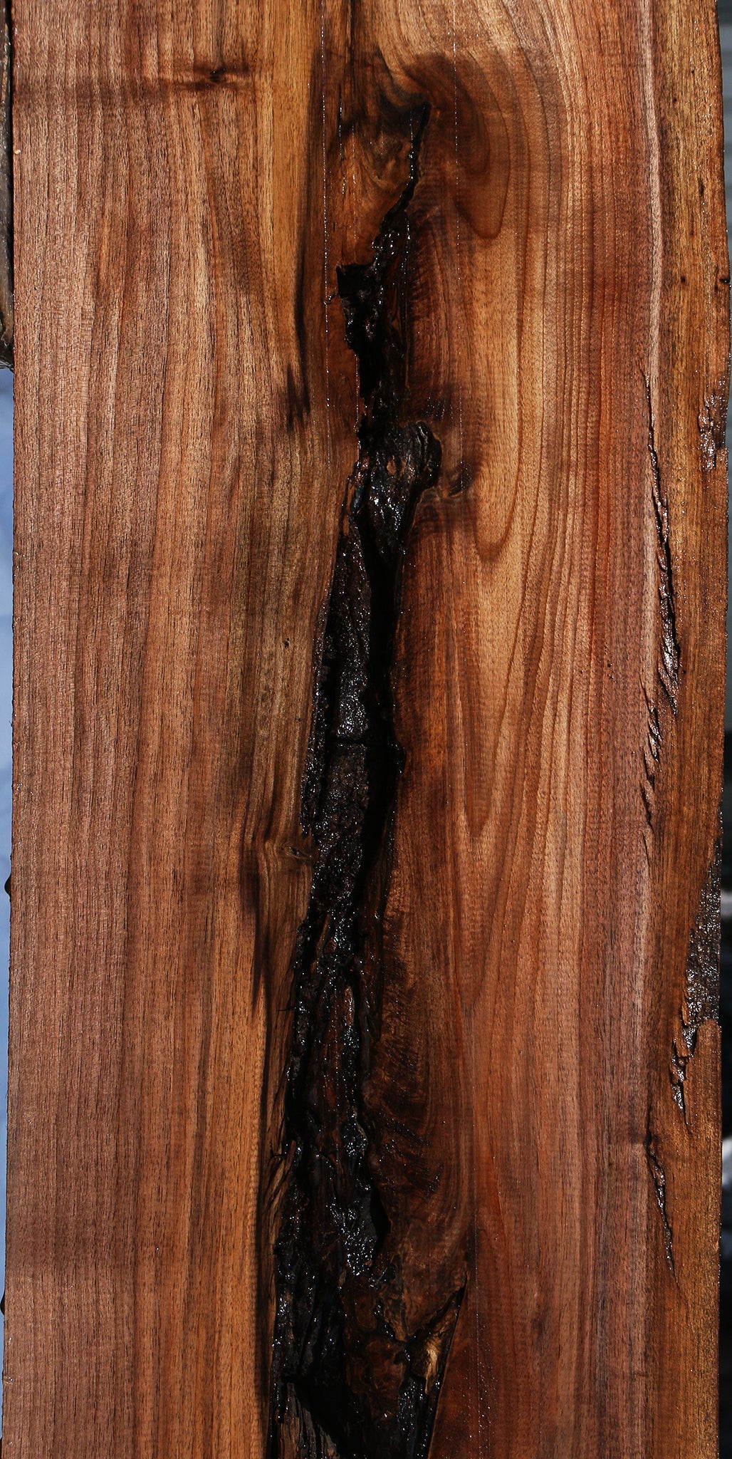 Claro Walnut Live Edge Slab (Free Shipping Excluded)