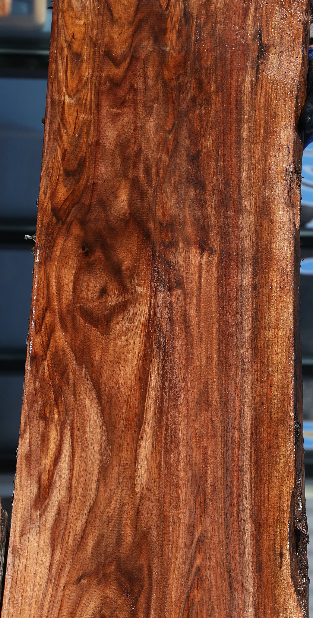 Claro Walnut Live Edge Slab (Free Shipping Excluded)