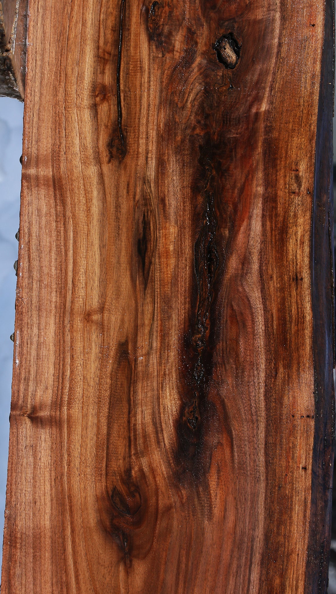 Claro Walnut Live Edge Slab (Free Shipping Excluded)