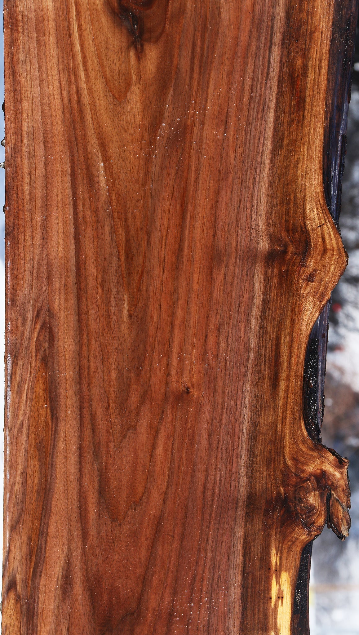 Claro Walnut Live Edge Slab (Free Shipping Excluded)