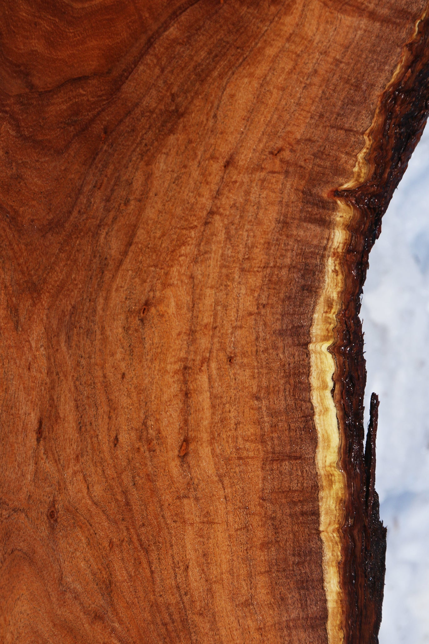 Extra  Fancy Argentine Mesquite Live Edge Slab