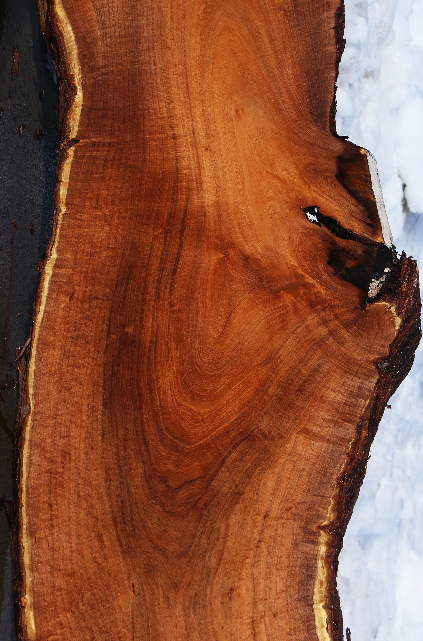 Extra  Fancy Argentine Mesquite Live Edge Slab