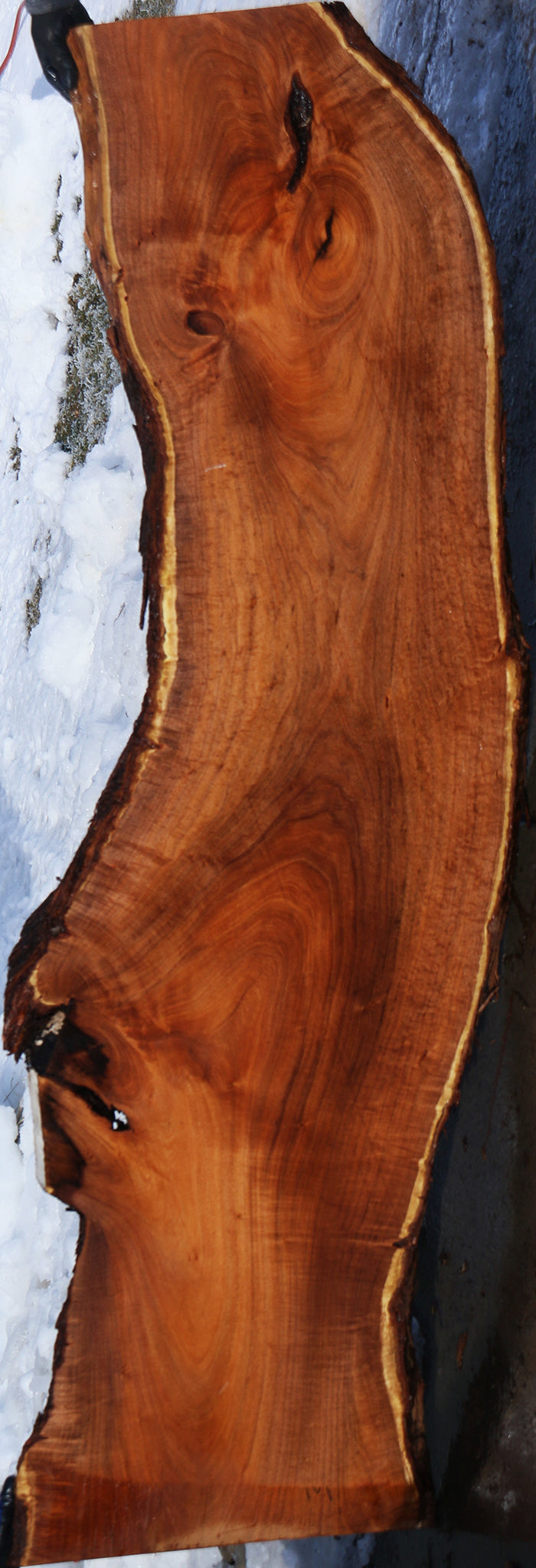 Extra  Fancy Argentine Mesquite Live Edge Slab