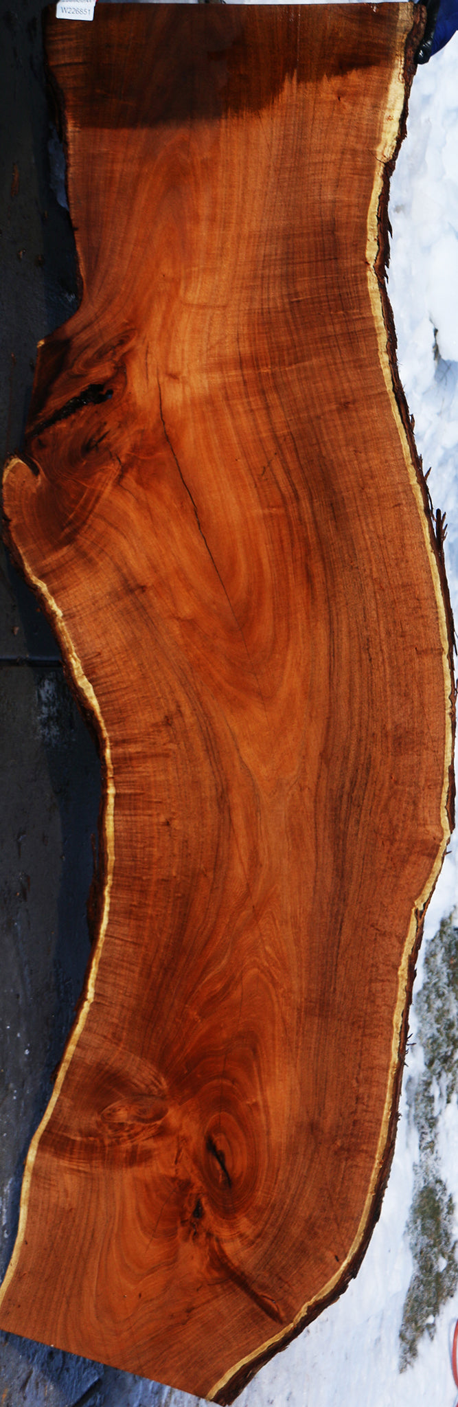 Extra  Fancy Argentine Mesquite Live Edge Slab