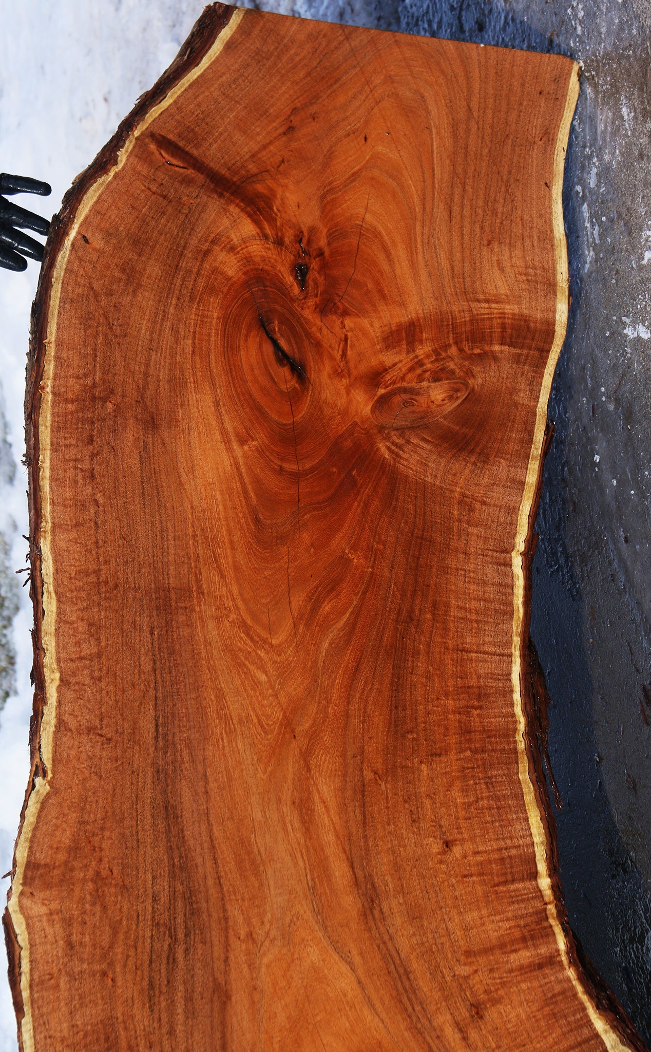 Extra  Fancy Argentine Mesquite Live Edge Slab