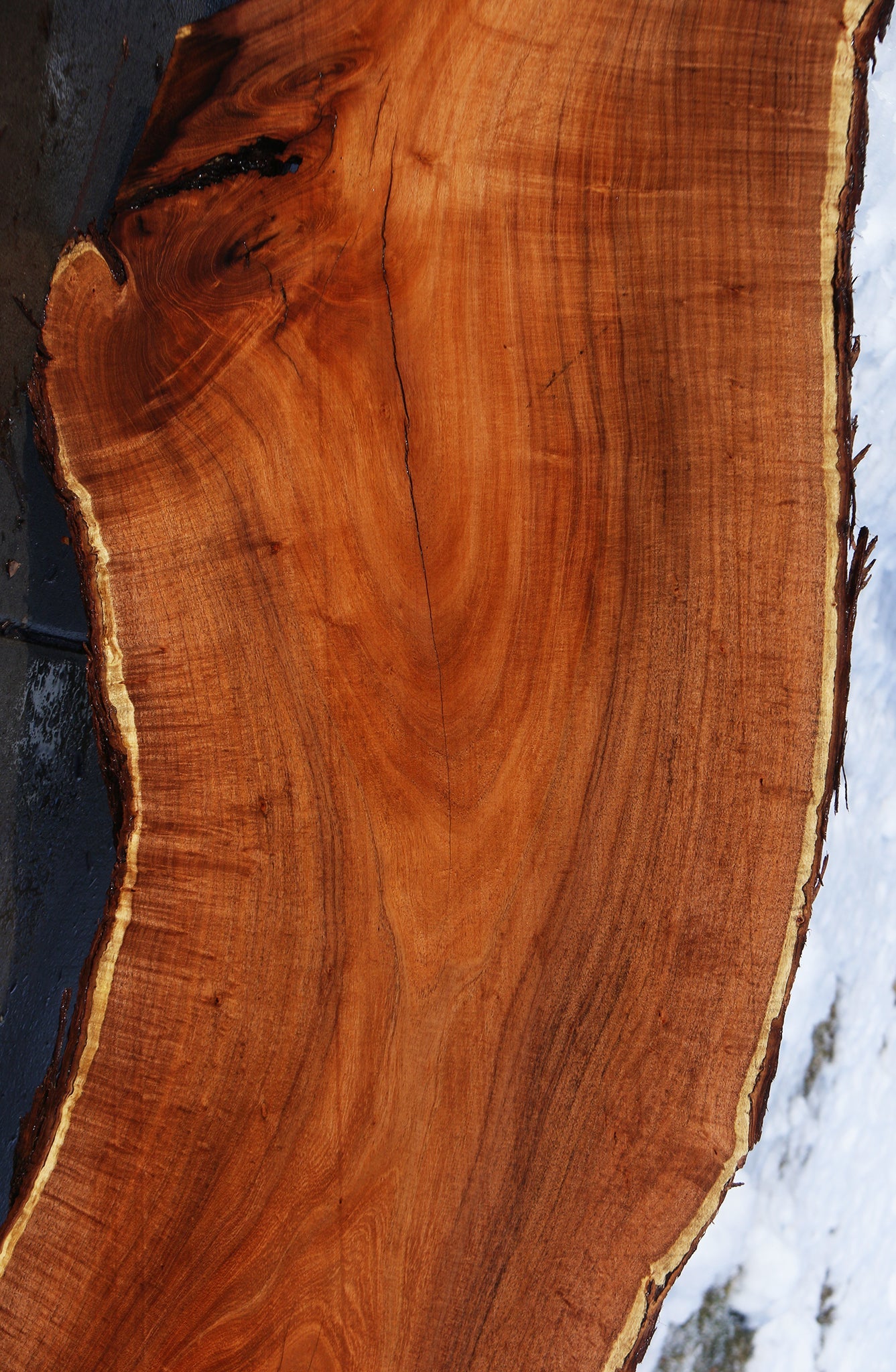 Extra  Fancy Argentine Mesquite Live Edge Slab