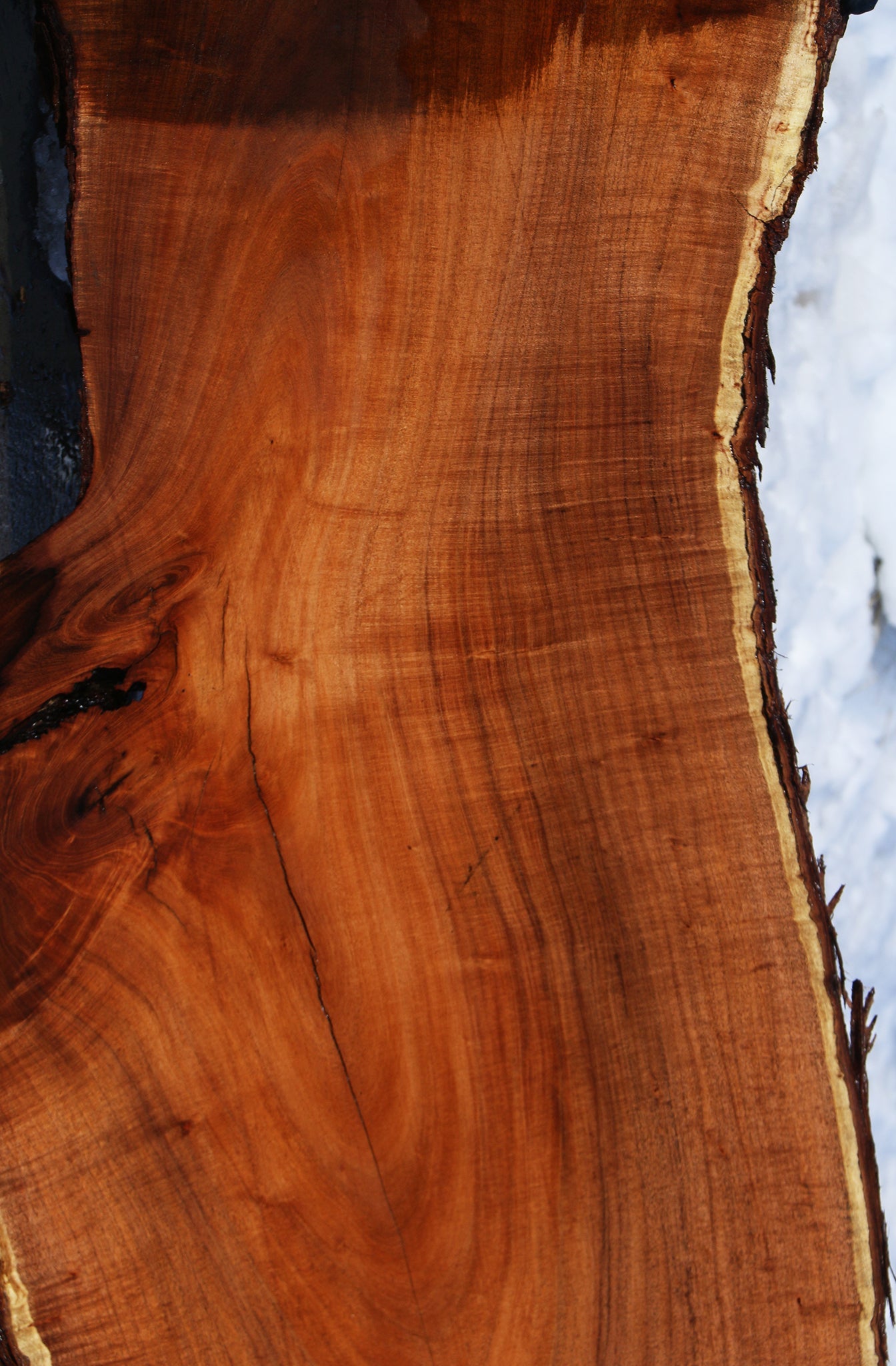 Extra  Fancy Argentine Mesquite Live Edge Slab