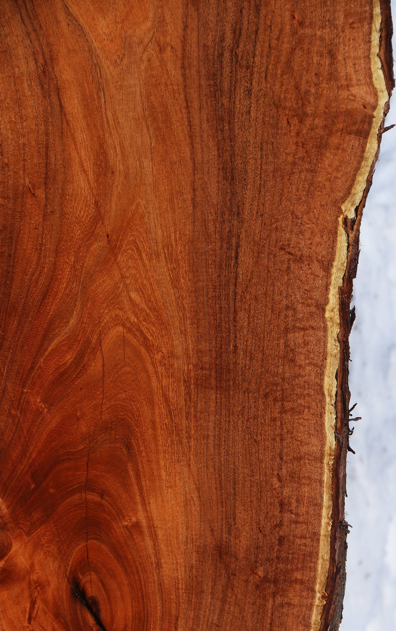 Extra  Fancy Argentine Mesquite Live Edge Slab