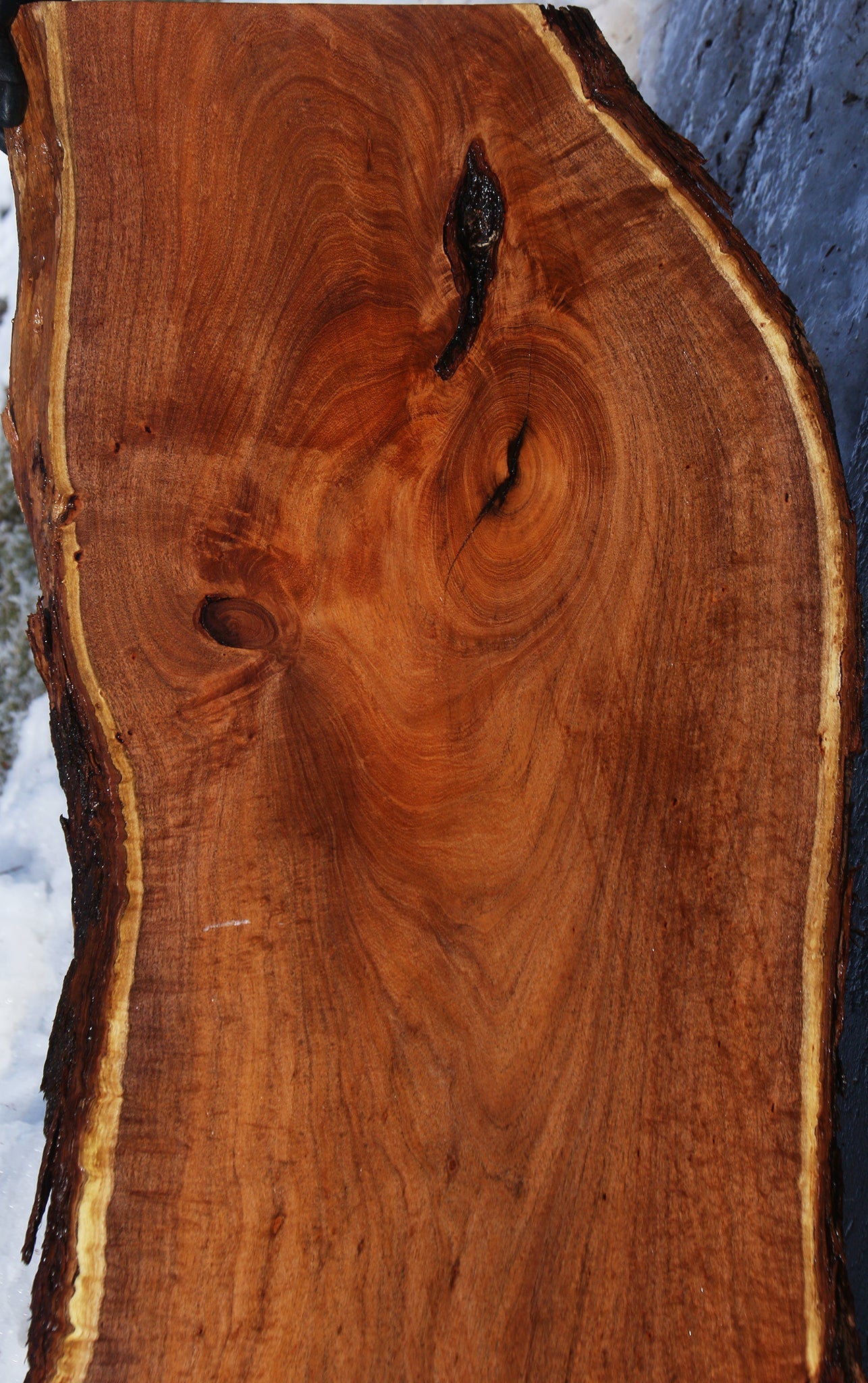 Extra  Fancy Argentine Mesquite Live Edge Slab