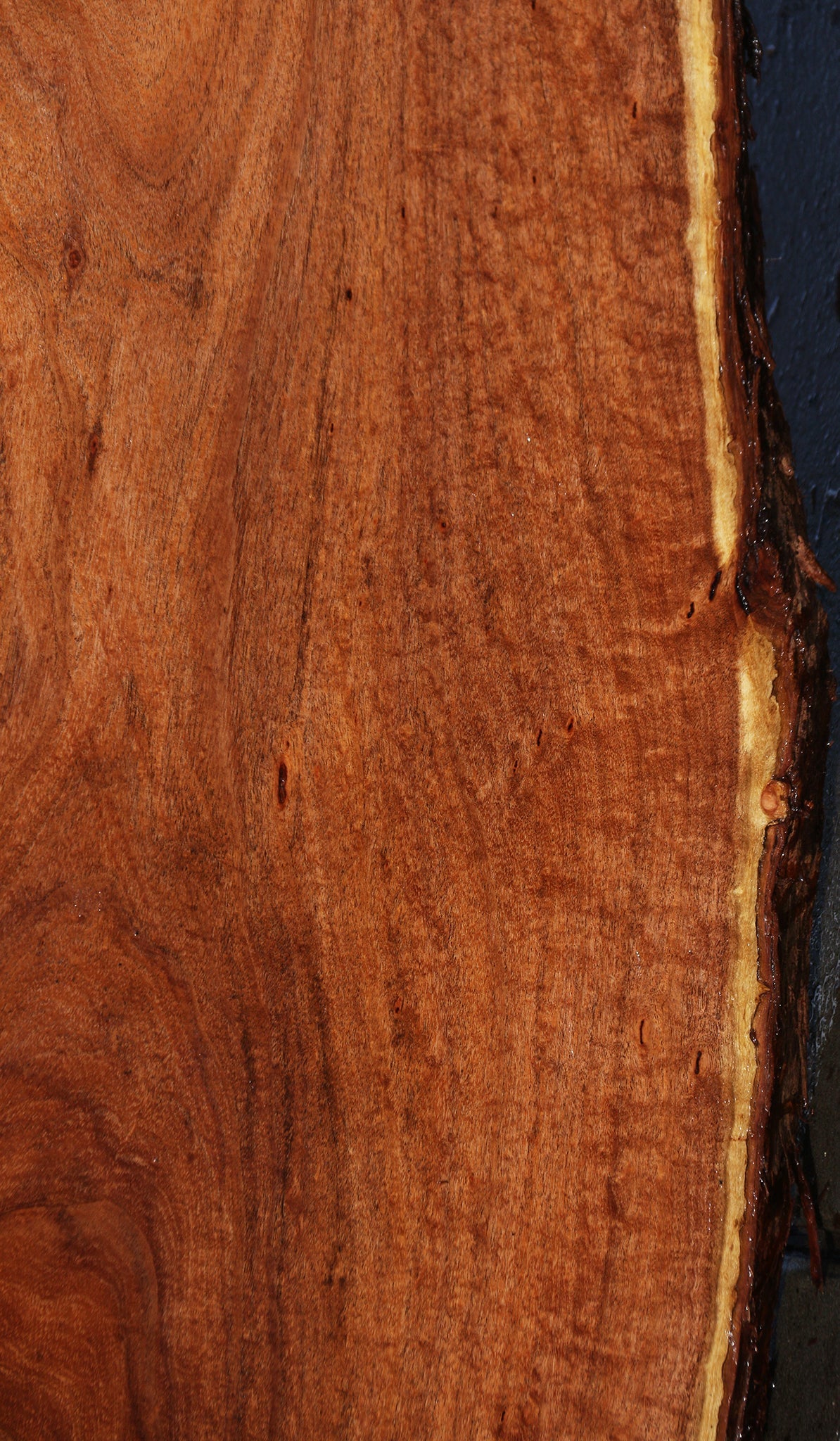 Extra  Fancy Argentine Mesquite Live Edge Slab