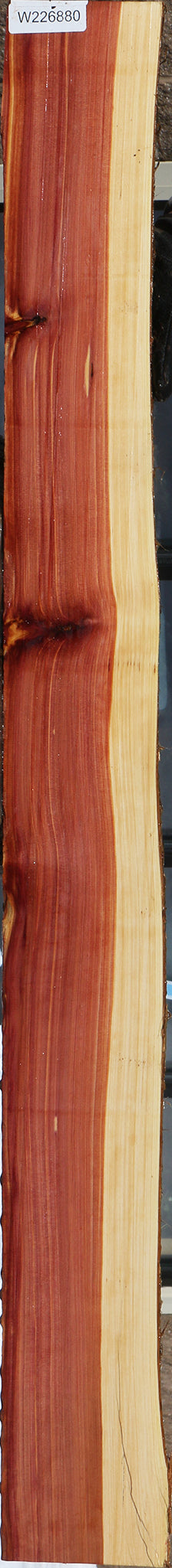 Eastern Red Cedar Live Edge Lumber