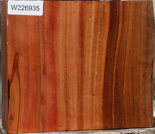 Brazilian Pepperwood Live Edge Bowl Blank