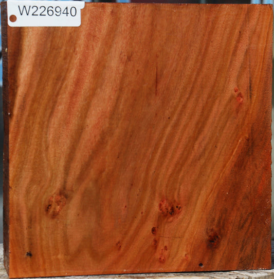 Figured Brazilian Pepperwood Bowl Blank