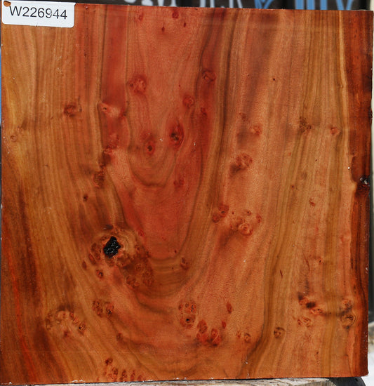 Brazilian Pepperwood Burl Bowl Blank