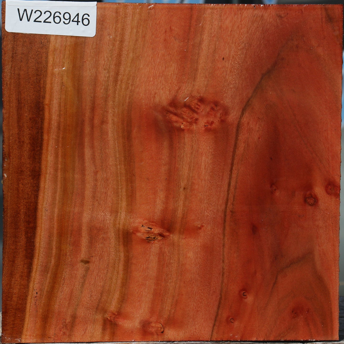 Figured Brazilian Pepperwood Bowl Blank