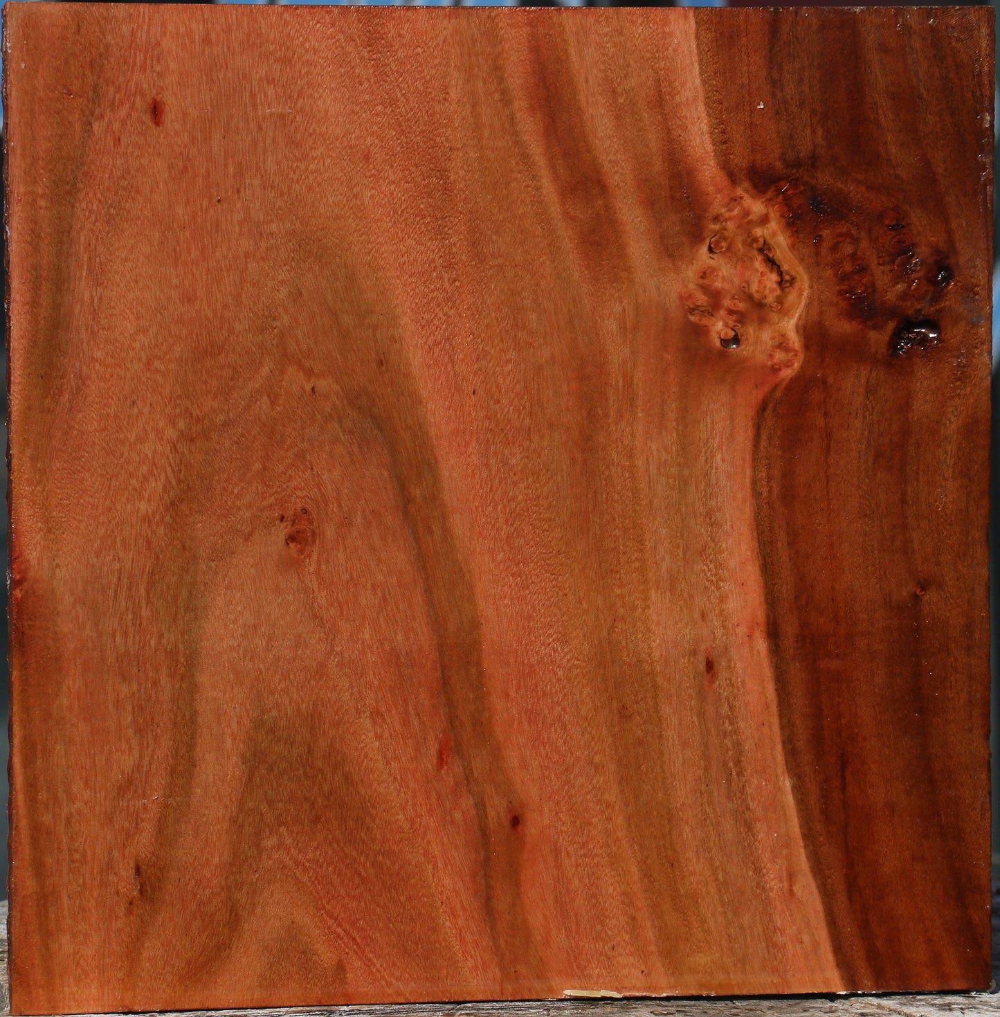 Figured Brazilian Pepperwood Bowl Blank