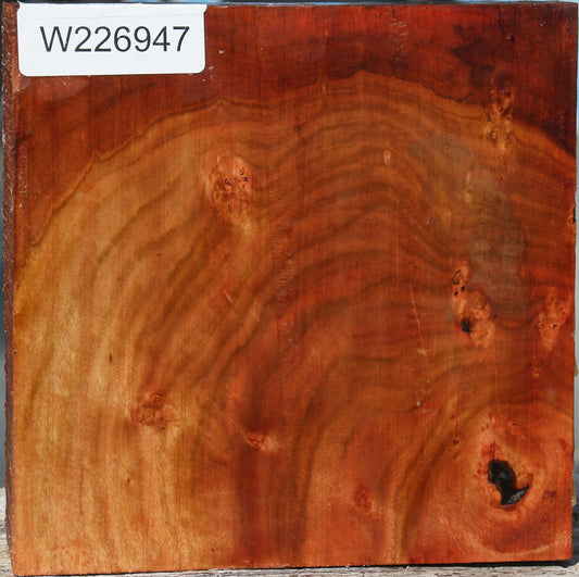 Extra Fancy Brazilian Pepperwood Bowl Blank