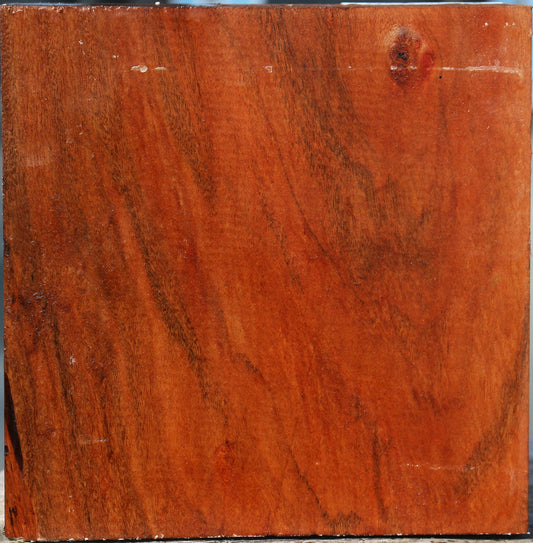 Brazilian Pepperwood Bowl Blank