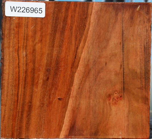 Brazilian Pepperwood Live Edge Bowl Blank