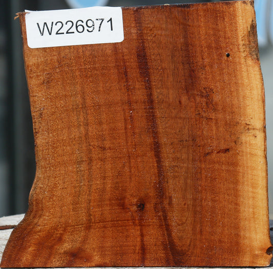 Brazilian Pepperwood Half Log