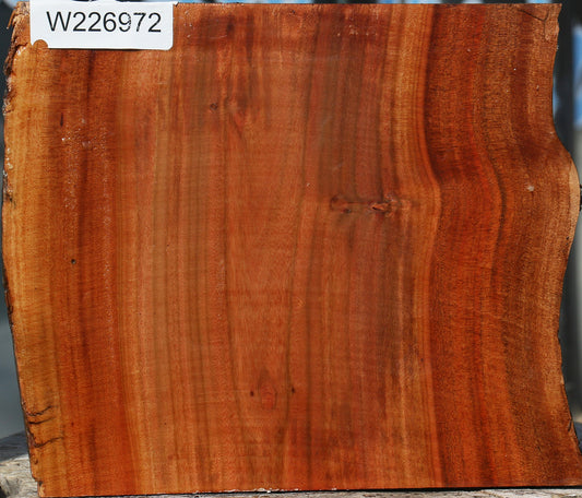 Brazilian Pepperwood Half Log