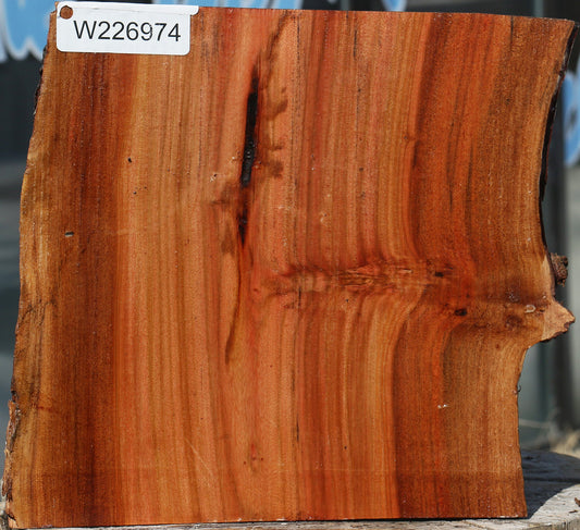 Brazilian Pepperwood Half Log